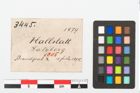 Etikett zu Beinnadelspitzenschoner (NHMW-PRAE-003445)